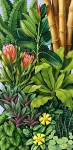 Foliage III by Catherine Abel